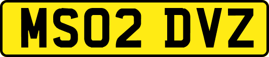 MS02DVZ