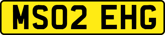 MS02EHG