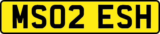 MS02ESH