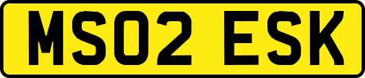MS02ESK