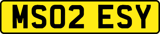 MS02ESY