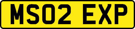 MS02EXP