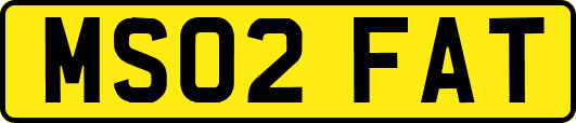 MS02FAT