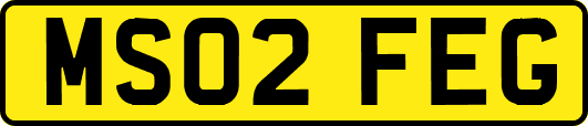 MS02FEG
