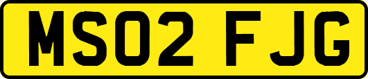 MS02FJG