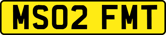 MS02FMT