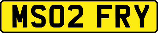 MS02FRY