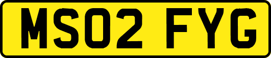 MS02FYG