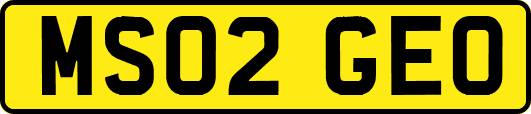 MS02GEO