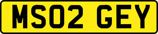 MS02GEY