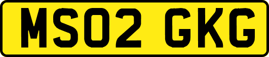 MS02GKG