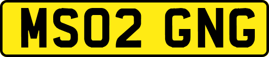 MS02GNG