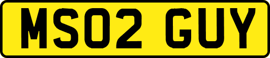 MS02GUY