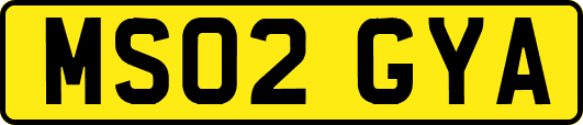 MS02GYA