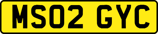 MS02GYC