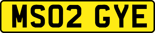 MS02GYE