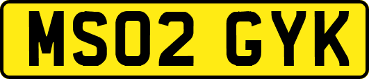 MS02GYK