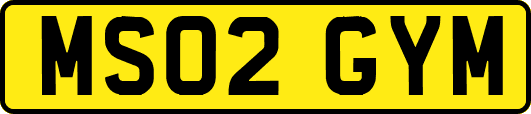 MS02GYM