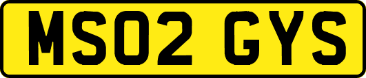 MS02GYS