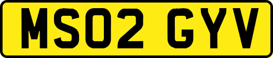 MS02GYV