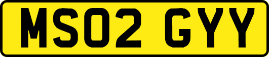MS02GYY