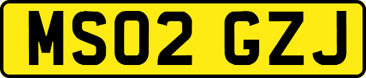 MS02GZJ