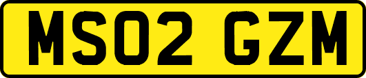 MS02GZM