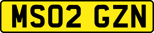 MS02GZN