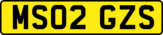 MS02GZS