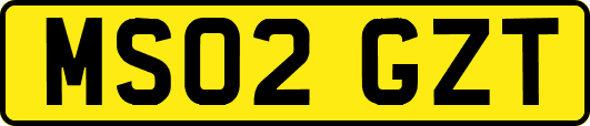 MS02GZT