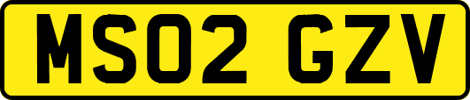 MS02GZV