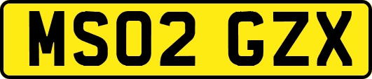 MS02GZX
