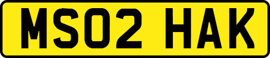 MS02HAK