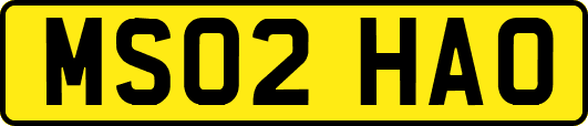 MS02HAO