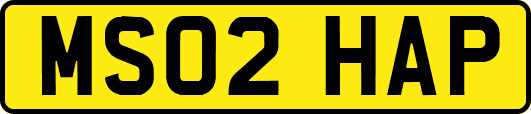 MS02HAP