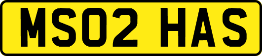 MS02HAS