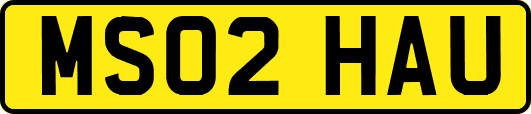MS02HAU