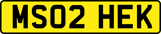 MS02HEK