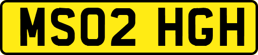 MS02HGH