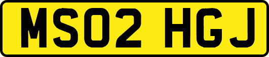 MS02HGJ