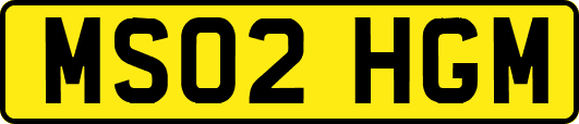 MS02HGM