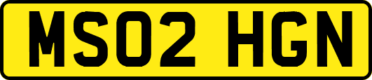 MS02HGN