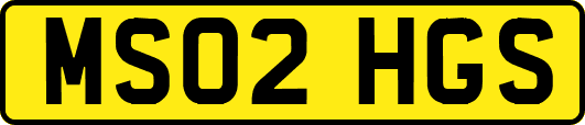 MS02HGS