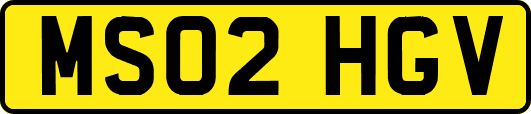 MS02HGV