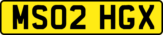 MS02HGX