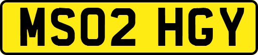 MS02HGY