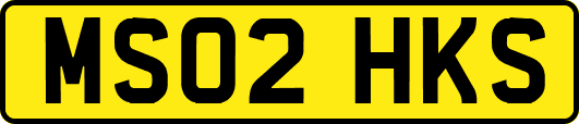 MS02HKS