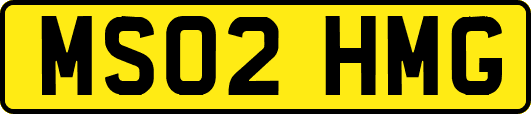 MS02HMG
