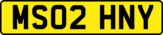 MS02HNY