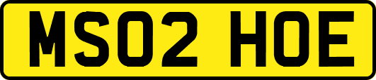 MS02HOE
